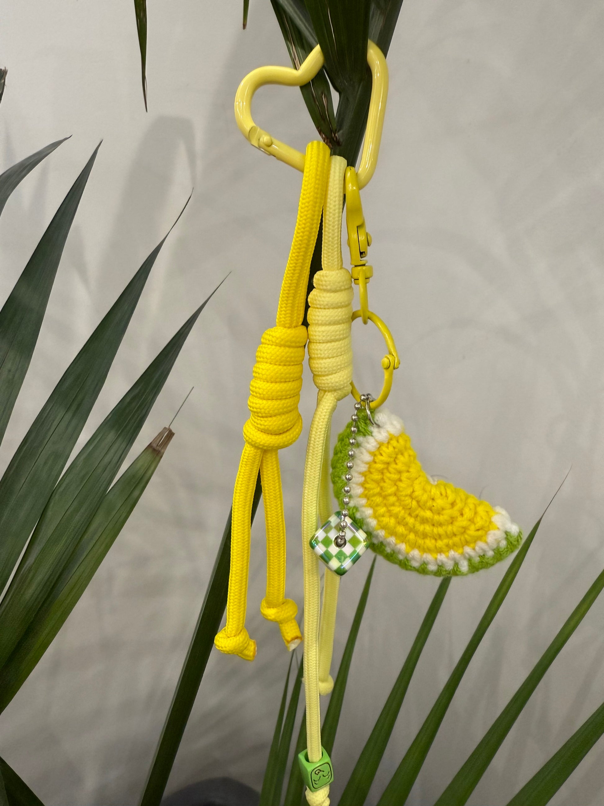 BIJOUX SAC 🍋